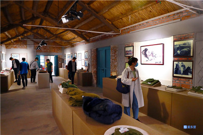 東營(yíng)·來自重點(diǎn)工程項(xiàng)目一線的報(bào)道 | 黃河口生態(tài)旅游區(qū) 擦亮“黃河入海、我們回家”品牌，展覽服務(wù)助力生態(tài)文旅升級(jí)